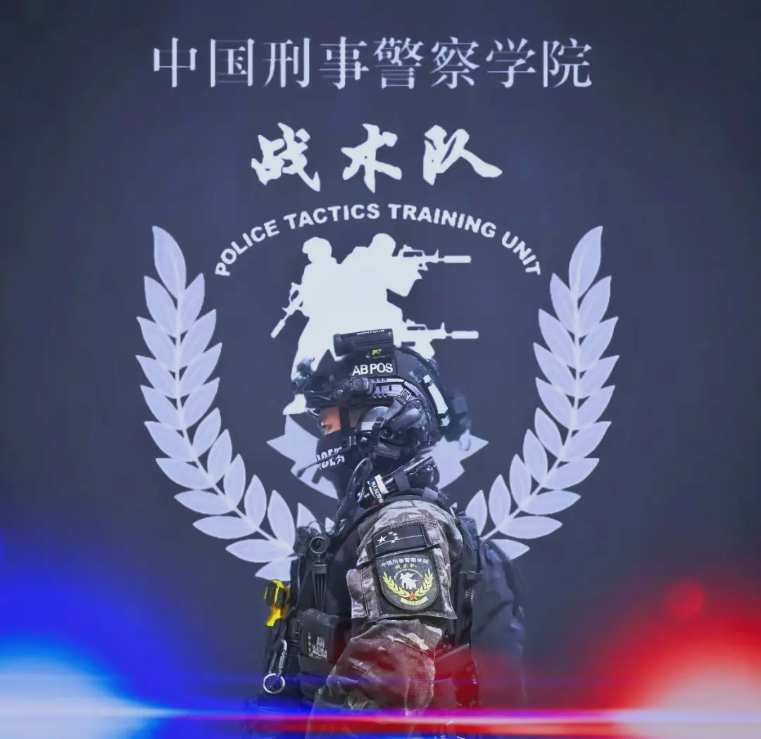 教练组研究新战术应对对手，球队备战备受关注的简单介绍