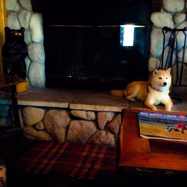 跨越边界的胜利，当尼斯豪强遭遇塞内加尔雄狮，F1赛道上演范戴克的绝对统治