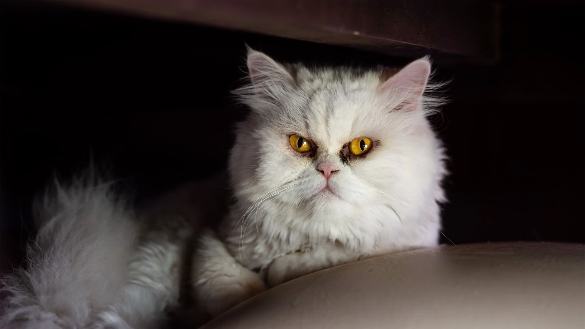 开云体育中国-死神挥镰与团队利刃，当杜兰特末节接管撞上步行者惊魂逆转