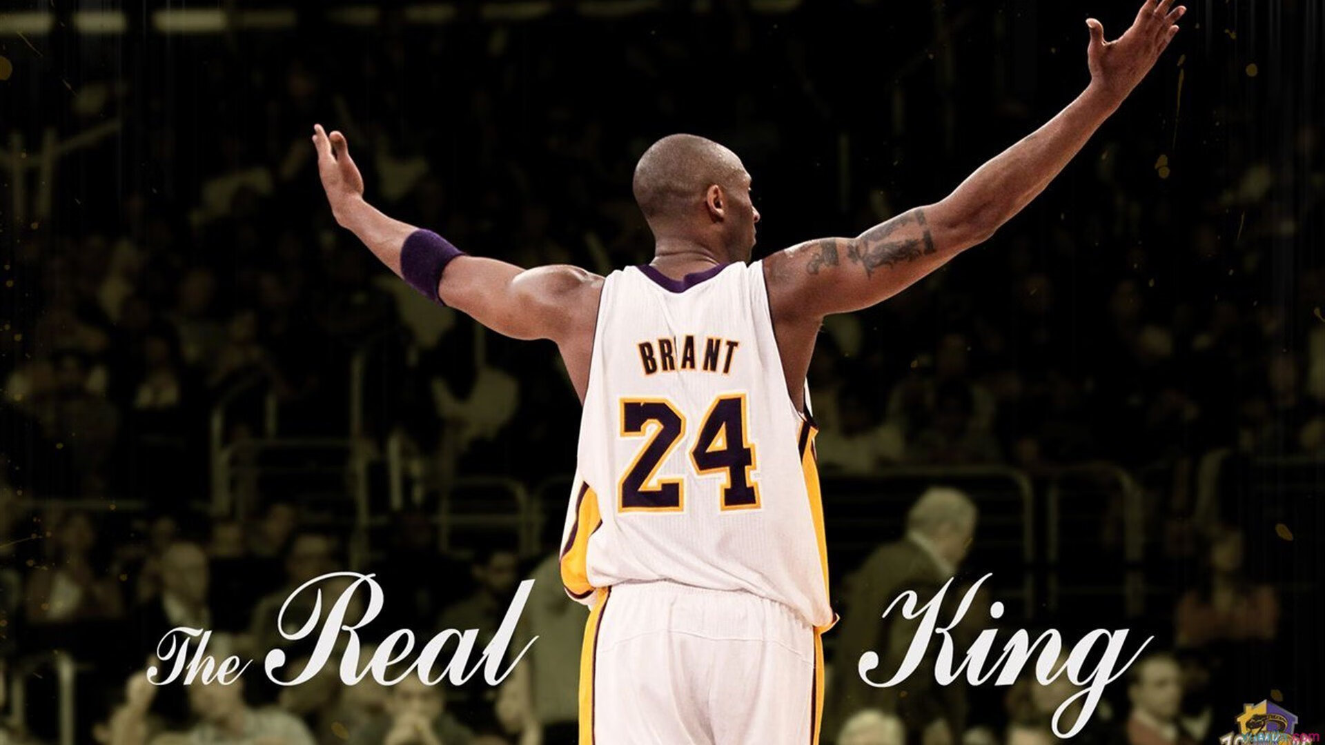 东方启示录，深圳狂胜奇才如何预言小贾伦2026世界杯的统治级表演