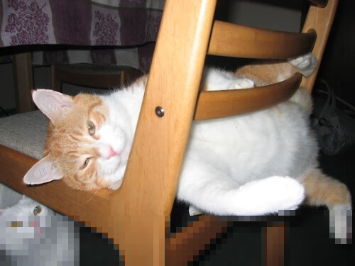 外交角力与绿茵传奇，土耳其施压喀麦隆，内马尔德甲争冠战称王