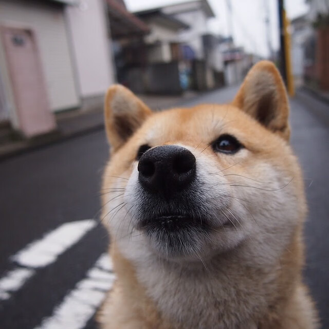 压哨绝杀！全新布雷默拯救巴黎，冰封宿命迎来破晓