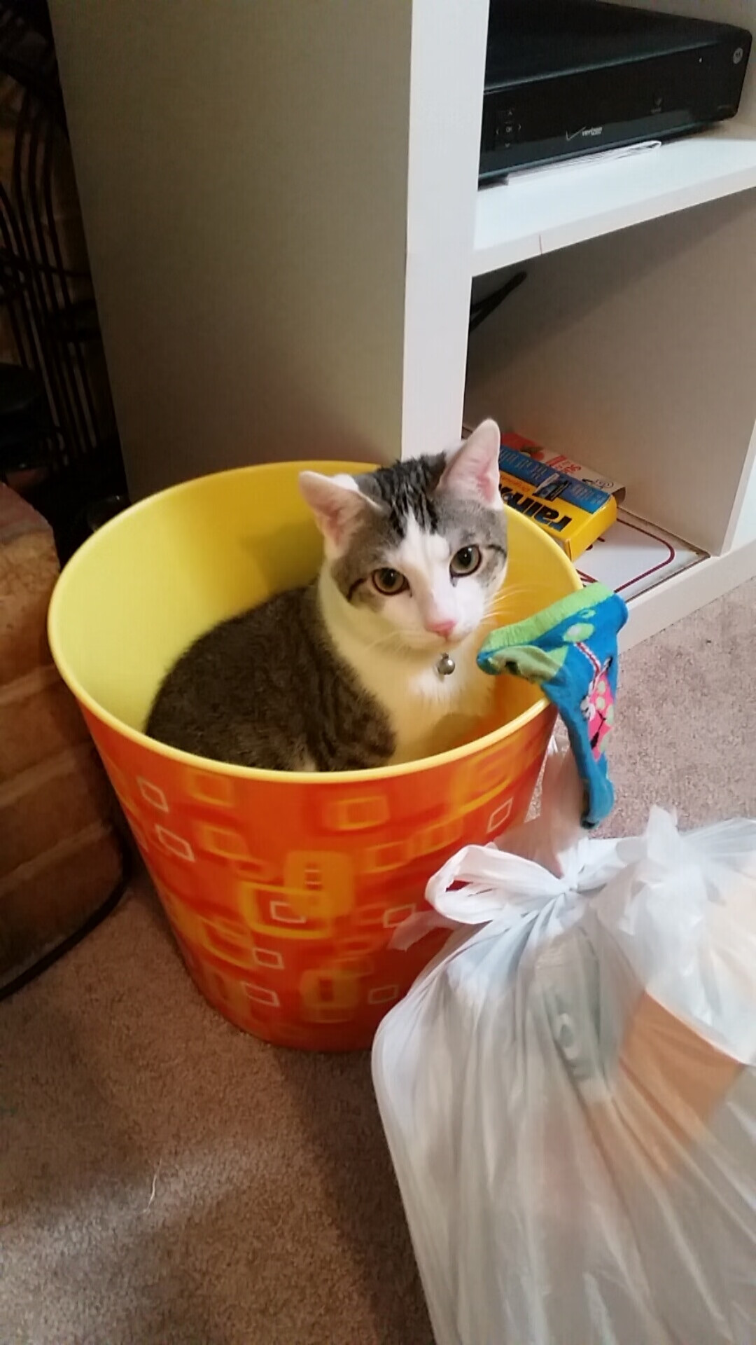 托尼展现巨星价值，尼日利亚正面击溃加拿大