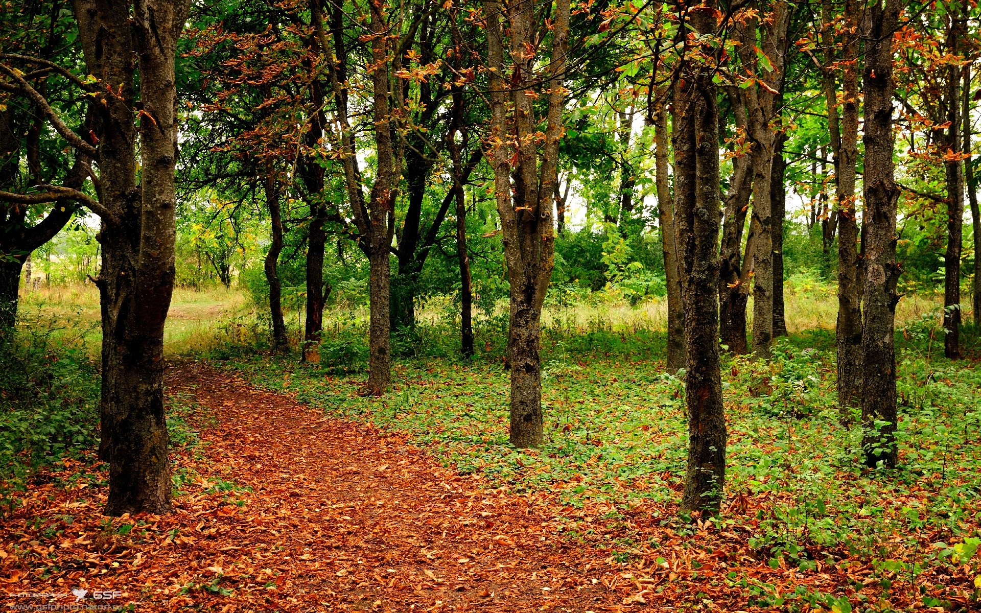 开云下载-绝境中的艺术,当赖斯的怒吼点燃巴西的獠牙,莱比锡红牛在末节轰然倒地