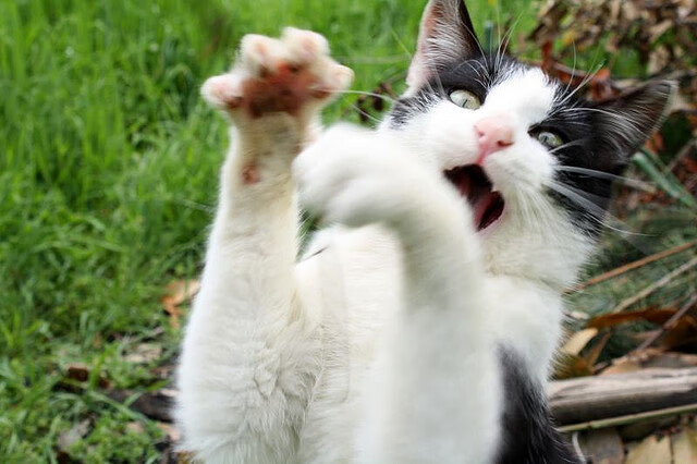 德罗赞与尼克斯,掌控比赛的两种截然相反的道