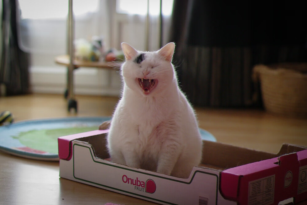 开云体育官网-F1年度争冠之夜,李刚仁在绿茵场赛道上的决定性超车