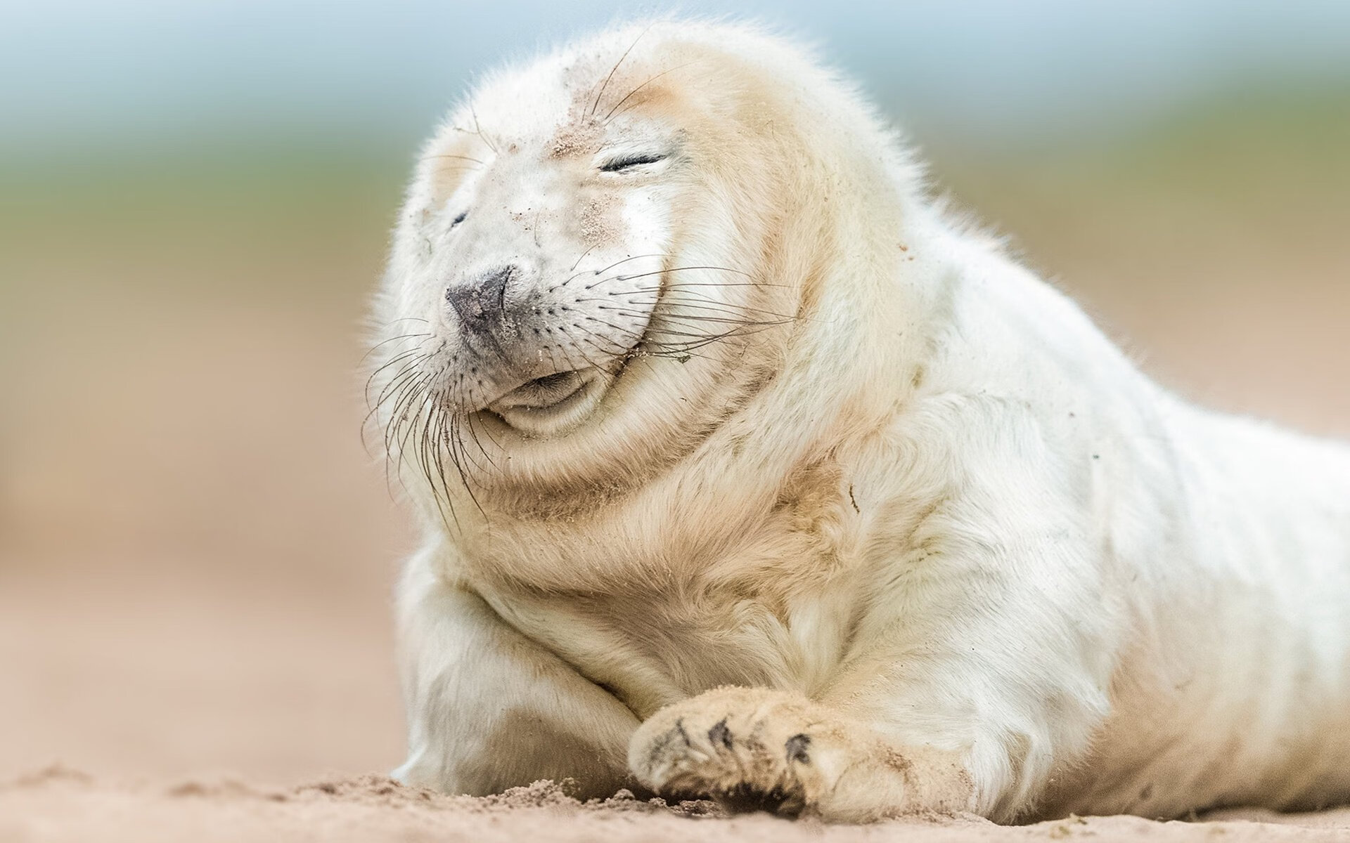 球衣上的名字，当奥亚尔萨瓦尔让一切战术板黯然失色