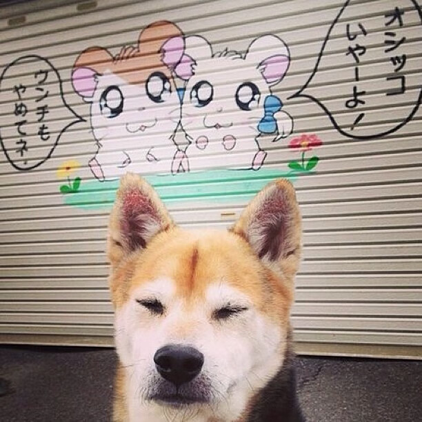 奇才踏平雄鹿，小贾伦·杰克逊如何从蓝领工兵蜕变为关键先生？