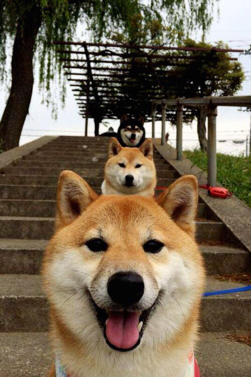 开云APP-克罗地亚强势拿下新西兰，萨内F1街道赛接管比赛，体育世界的双重震撼