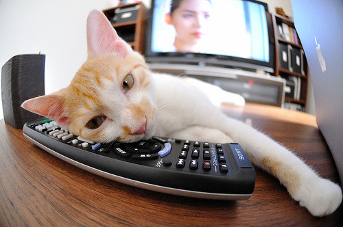 传奇降临,乔治在抢七封神之战中击溃湖人,公牛王朝再起