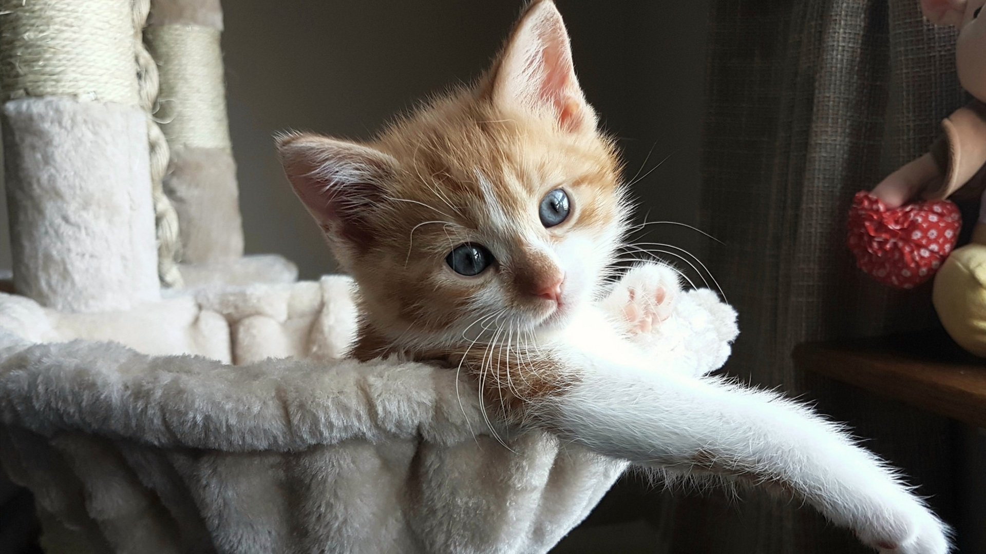 铸就防线丰碑，阿劳霍于年度焦点之战中一夫当关