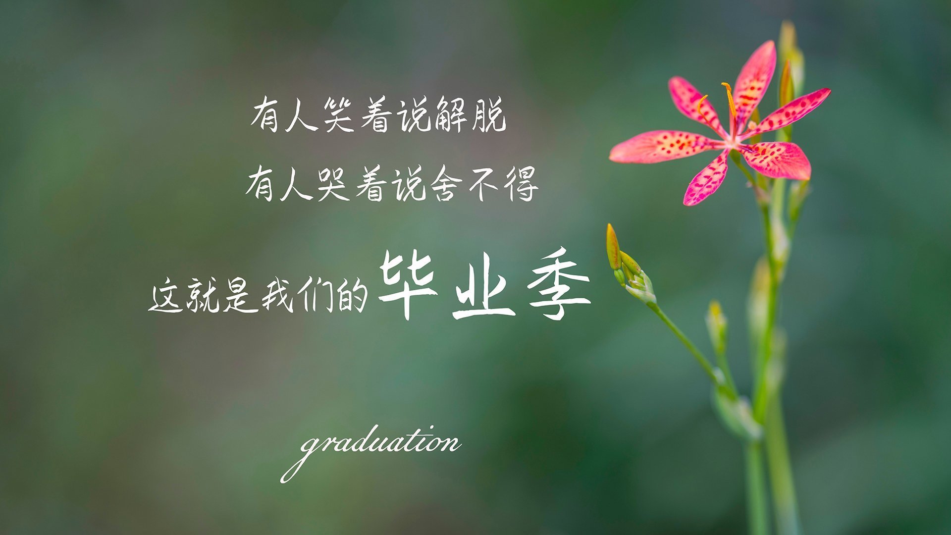 绝境罚球线，迪巴拉完成自我救赎的九百八十五秒